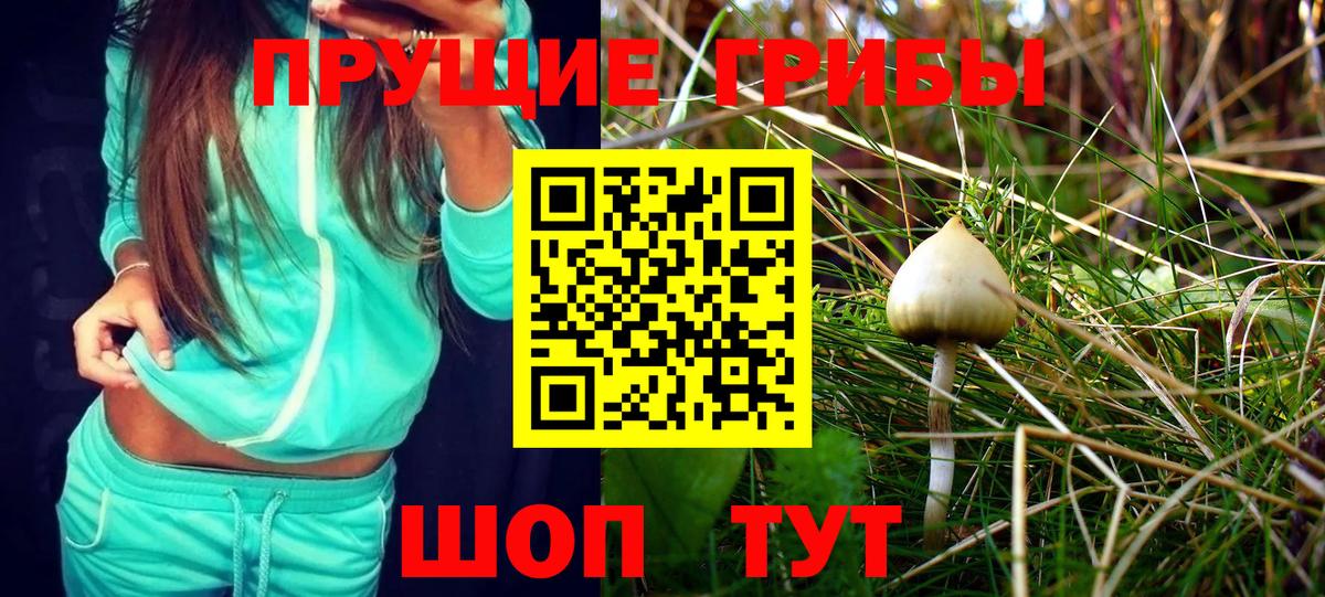 Псилоцибиновые грибы Magic Shrooms  Вход с VPN  Джанкой 