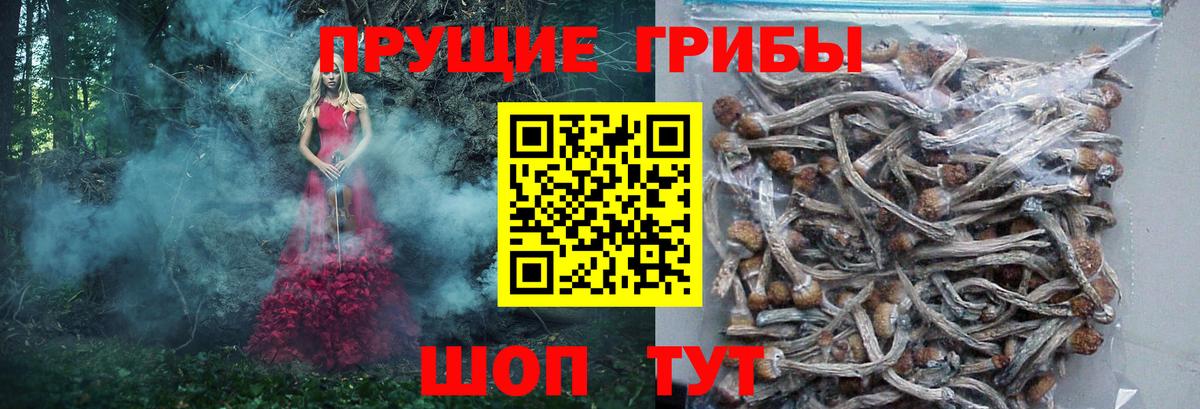 Псилоцибиновые грибы мухоморы Джанкой